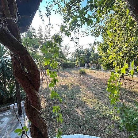Yourlittlemiracle-Panoramicview+Firepit+Garden+Bbq Argalasti Luaran gambar